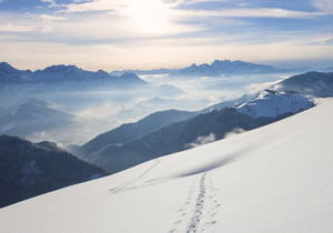 什么是双协议电表